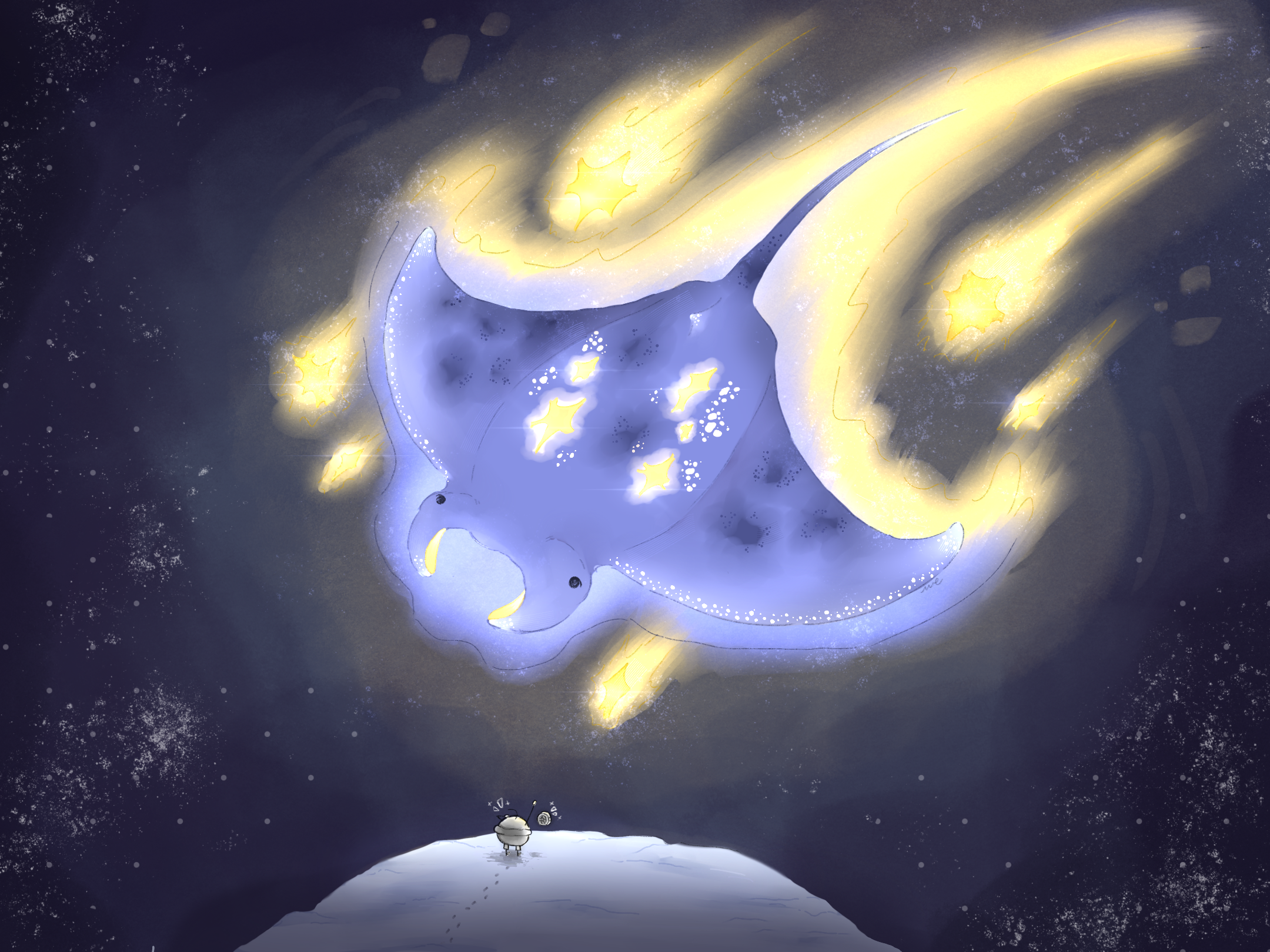 manta ray
